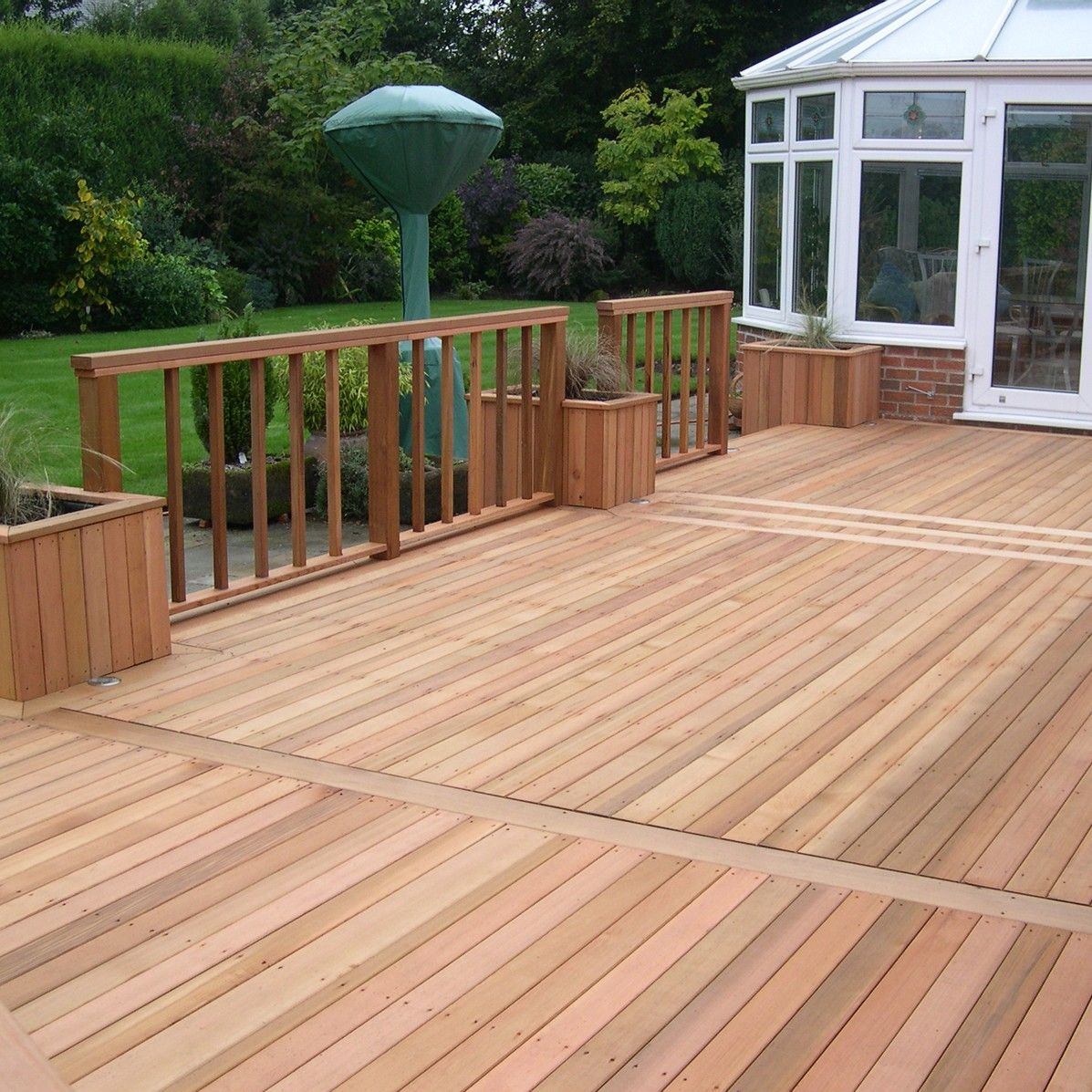 Cedar
